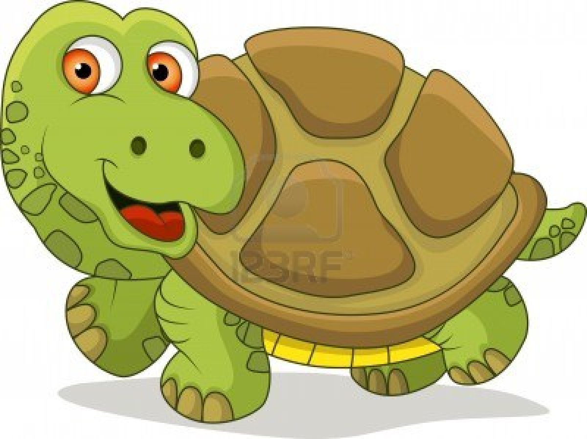 clipart tortue - photo #46
